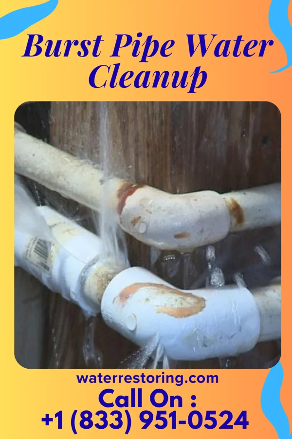 Burst Pipe Water Cleanup in East Alliance, OH