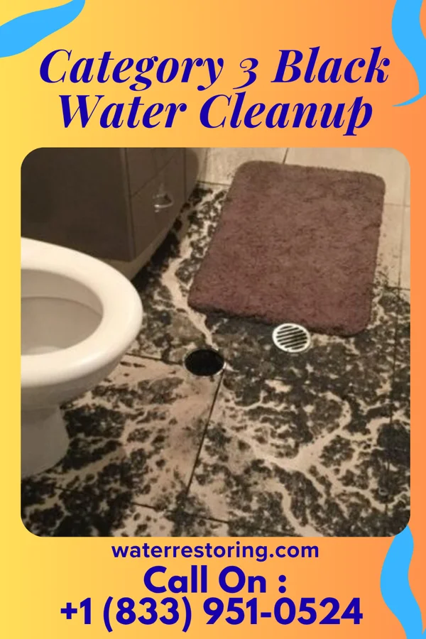 Category 3 Black Water Cleanup in East Alliance, OH