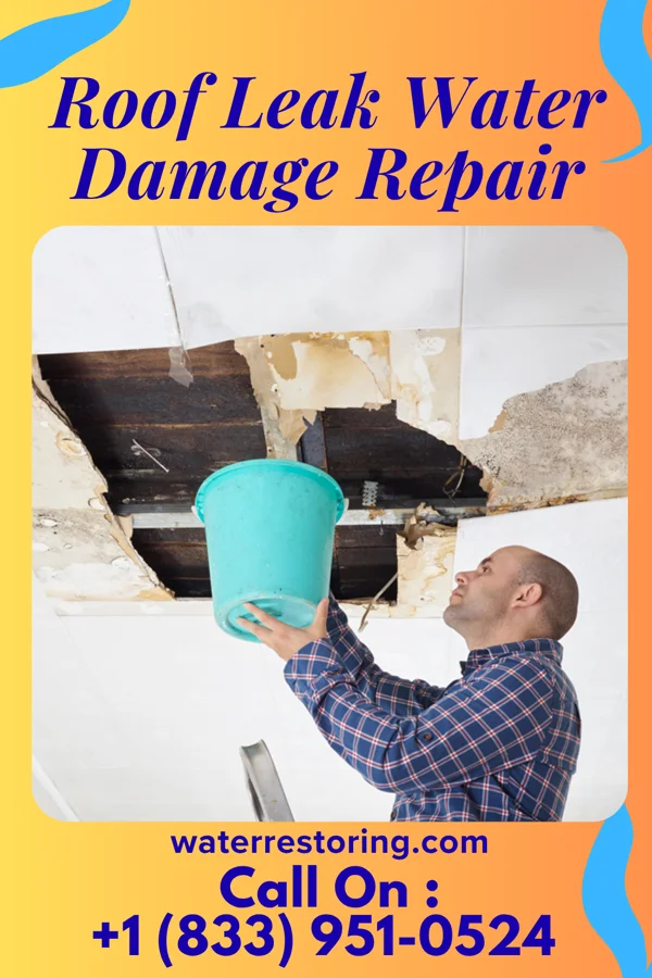 Roof Leak Water Damage Repair in East Alliance, OH